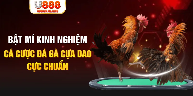 f8bet2 trong baccarat, ai là người chia bài chính？
