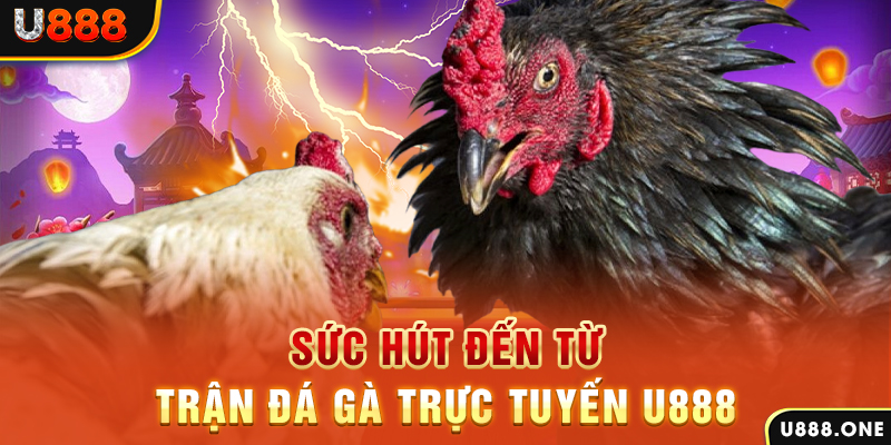 f8bet2 hòn gà chọi