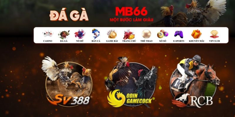 f8bet2 Bài Poker Hoàn Toàn Mỹ