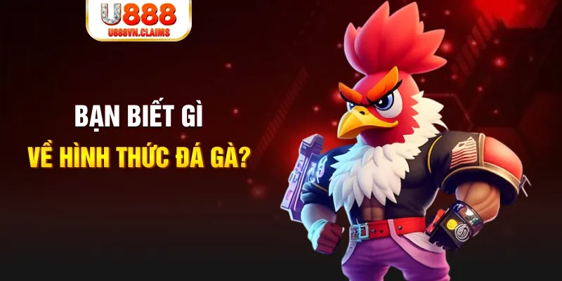 f8bet2 đăng nhập mậu binh dễ thắng