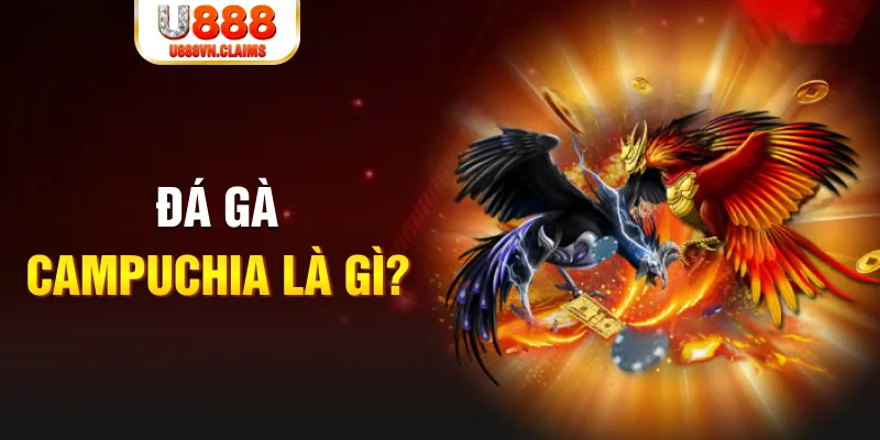 f8bet2 gà chọi đắk pơ