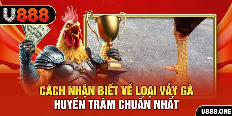 f8bet2 Chú hề Patty tuổi teen