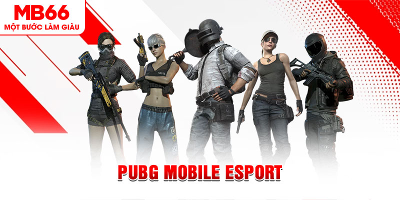 f8bet2 gà chọi c1 mới nhất