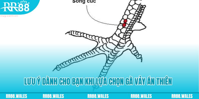 f8bet2 how to play roulette at casino