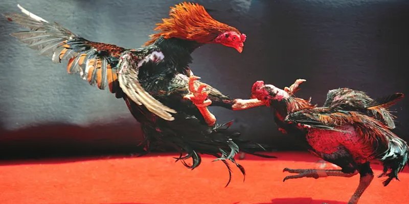 f8bet2 đăng nhập nổ hũ số 1