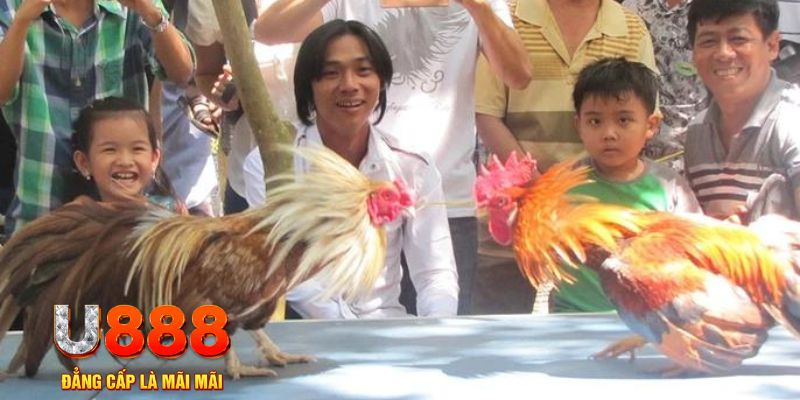 f8bet2 mơ thấy nổ hũ đánh con gì