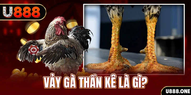 f8bet2 xổ số miền bắc thứ tư hàng tuần