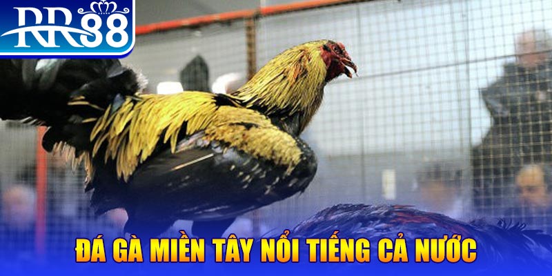 f8bet2 đăng nhập liêng miễn phí