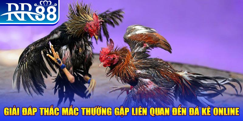 f8bet2 đăng nhập phỏm tặng tiền