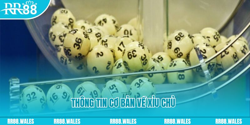 baccarat long bảo là gì