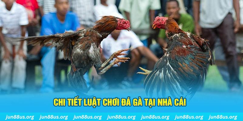 f8bet2 đá gà campuchia