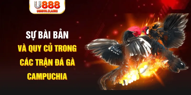 f8bet2 baccarat lừa đảo như thế nào