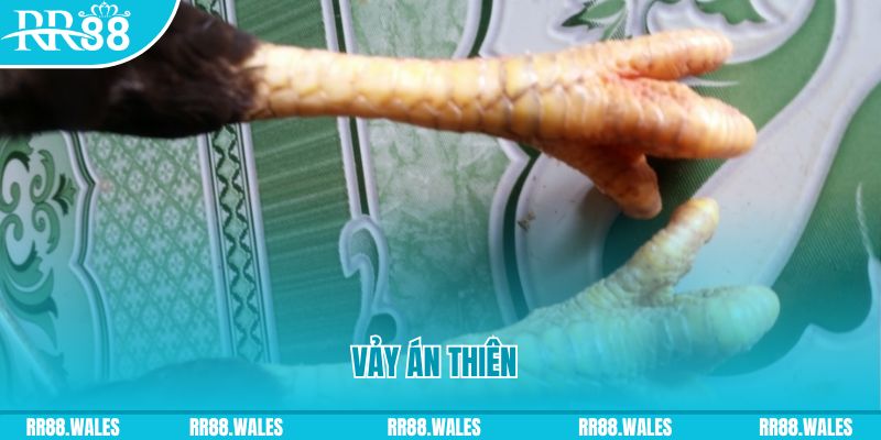 f8bet2 who wants to be a millionaire slot