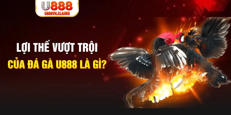 f8bet2 888 slot là gì